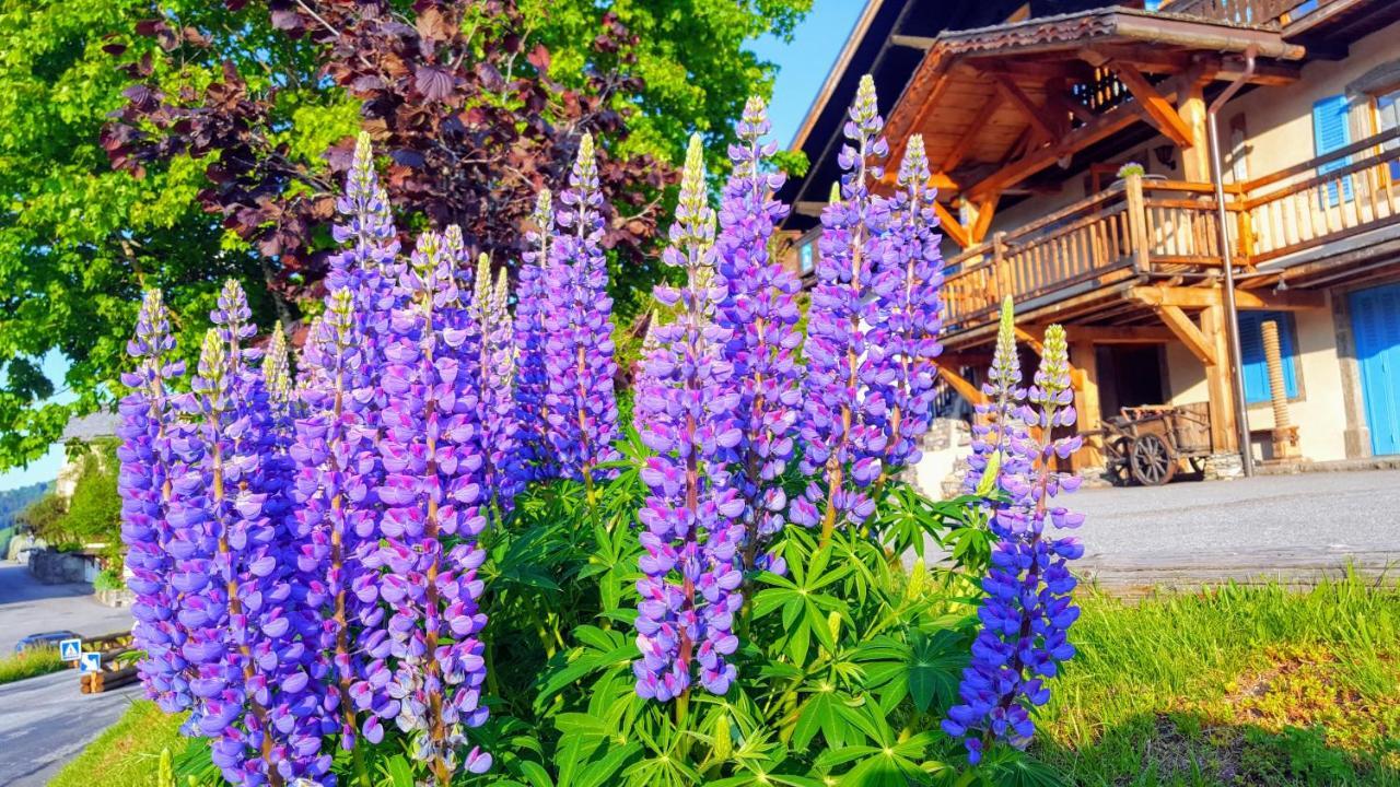 Chalet La Source Hotel Saint-Nicolas-la-Chapelle  Exterior foto